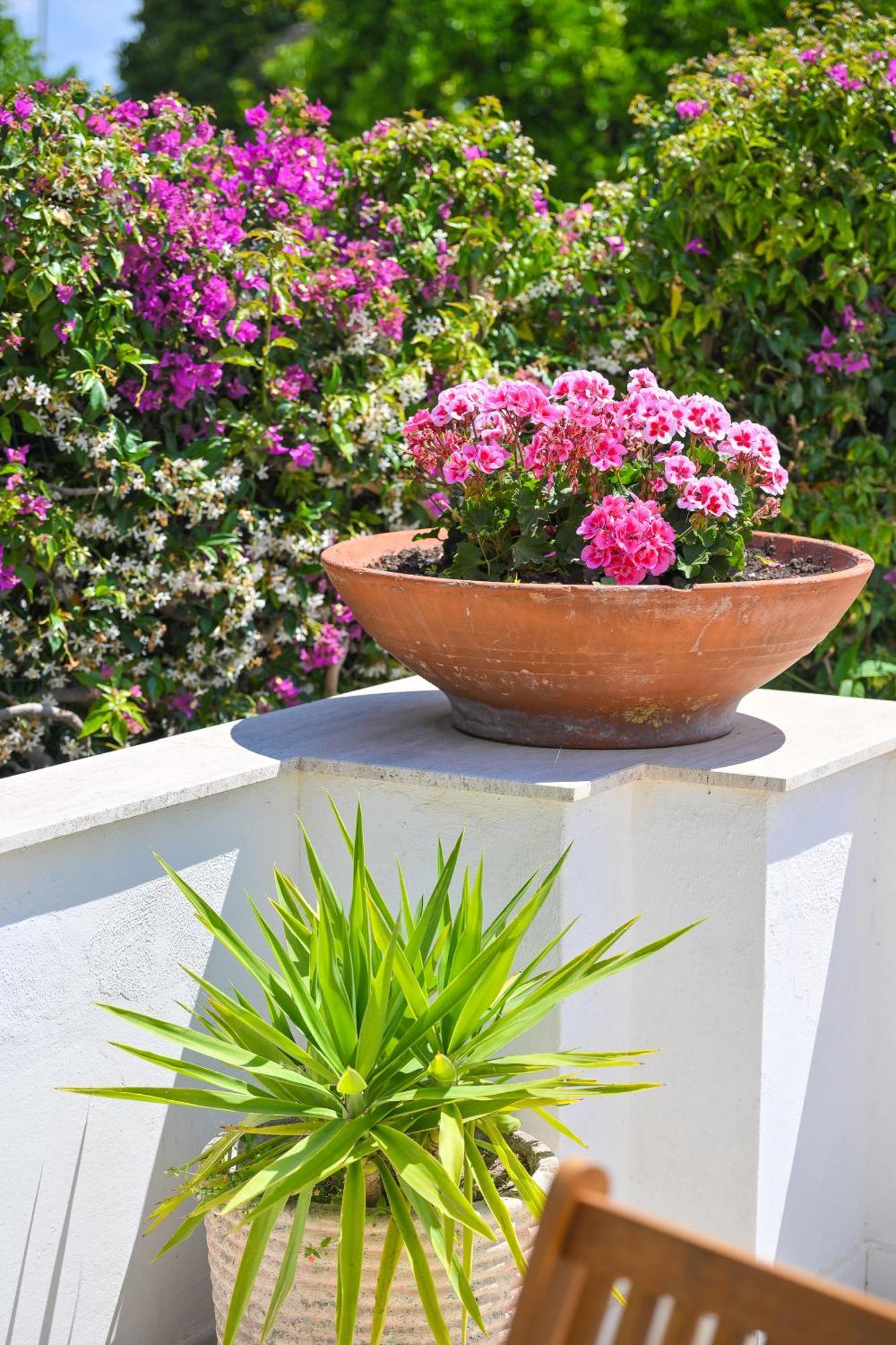 Maddalena Con Piscina, Giardino E Posto Auto - 6 Posti Letto Villa Ischia